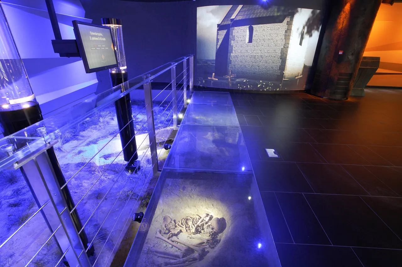 A museum exhibit in Kraków showing skeletons under glass in a blue-lit pit.