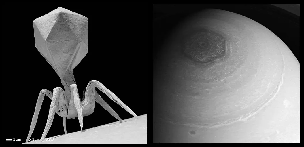 A split image showing a microscopic bacteriophage virus on the left and Saturn's hexagonal storm on the right.